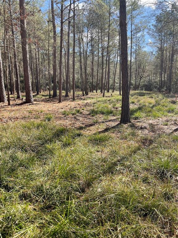TBD Dedication Trail, Huntsville, Texas image 10