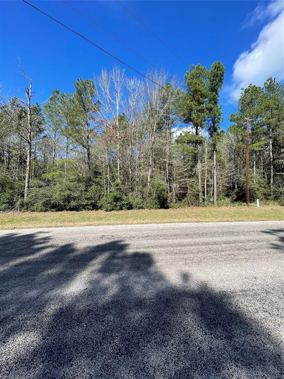 TBD Dedication Trail, Huntsville, Texas image 13