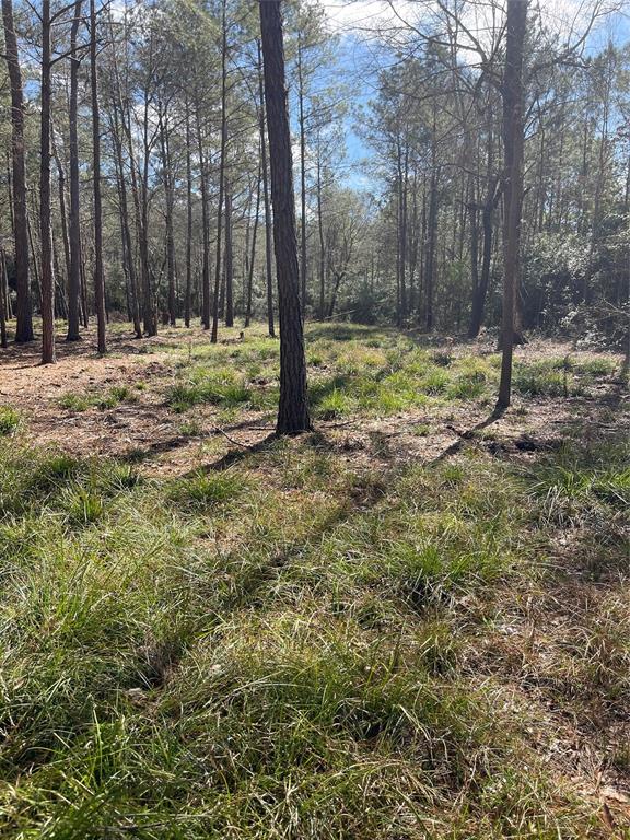 TBD Dedication Trail, Huntsville, Texas image 8