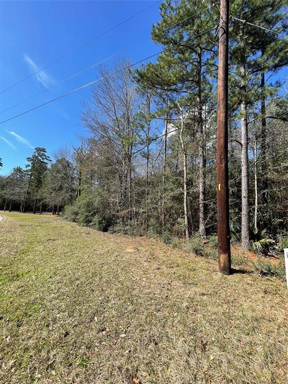 TBD Dedication Trail, Huntsville, Texas image 12