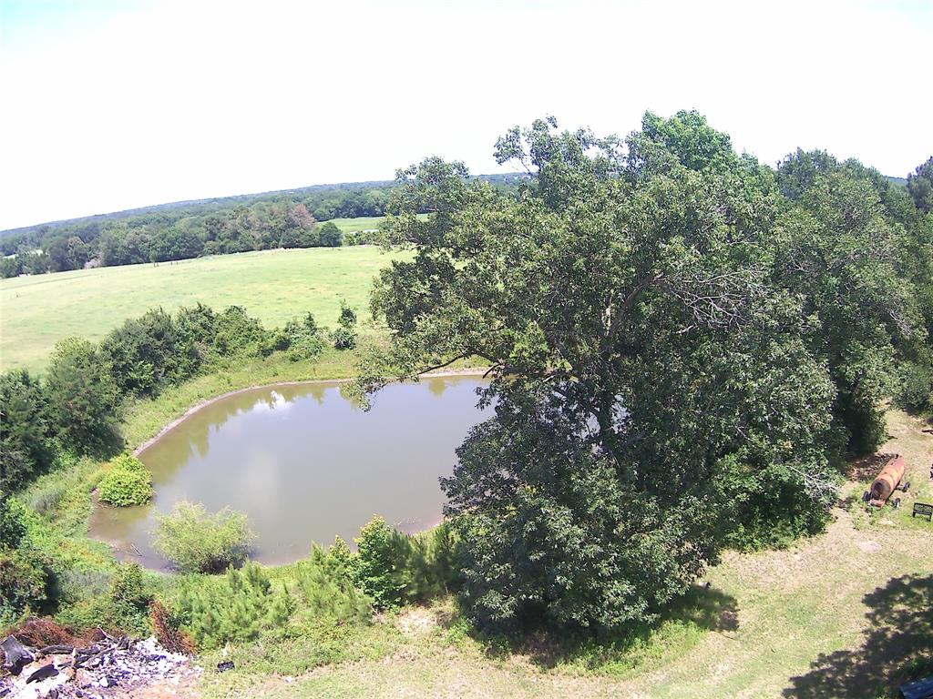 2264 N Fm 1486 Road, Montgomery, Texas image 5