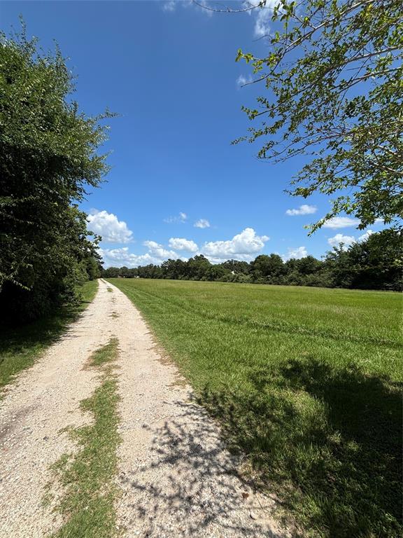 2264 N Fm 1486 Road, Montgomery, Texas image 4