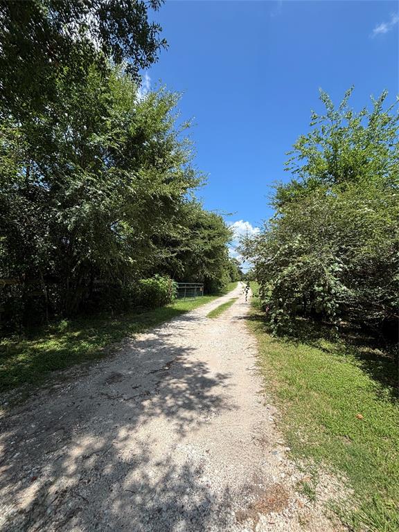 2264 N Fm 1486 Road, Montgomery, Texas image 3