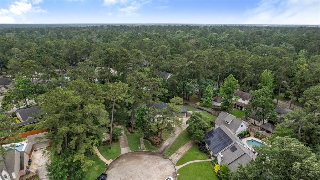 2006 Shady Branch Drive, Houston, Texas image 19
