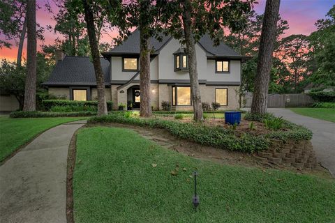 2006 N Shady Branch Drive W Houston TX 77339