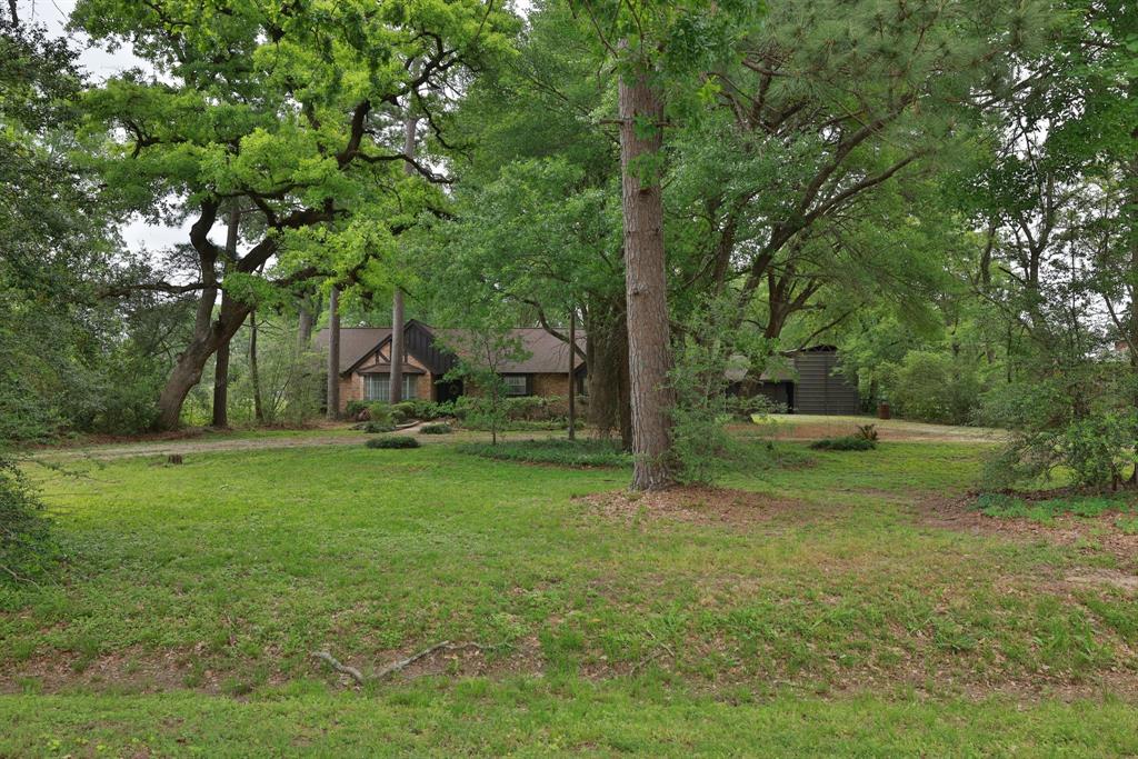 17226 Lillian Lane, Tomball, Texas image 3