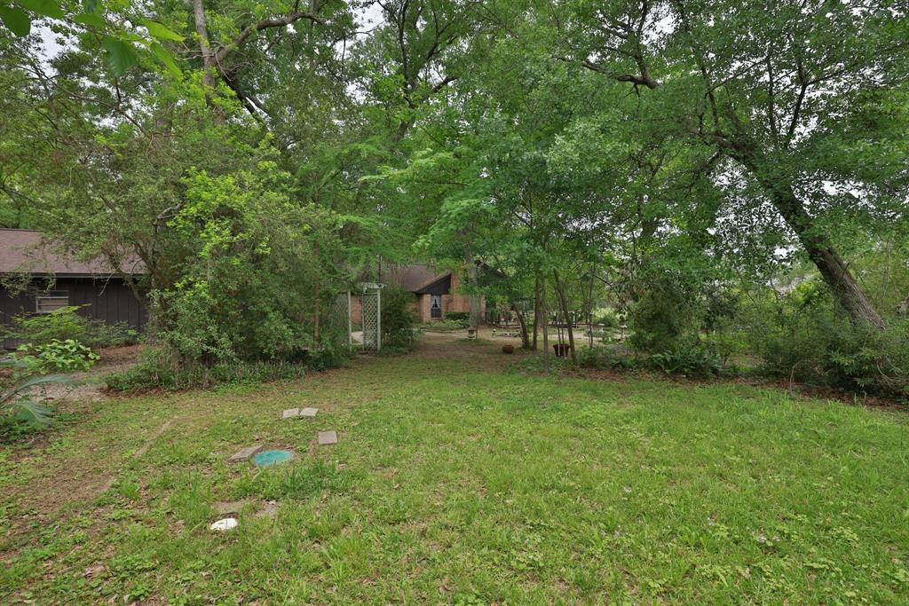 17226 Lillian Lane, Tomball, Texas image 32
