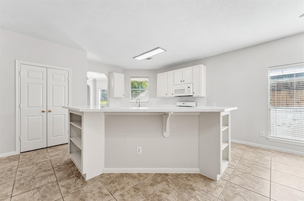 17222 Desert Maize Lane, Houston, Texas image 18