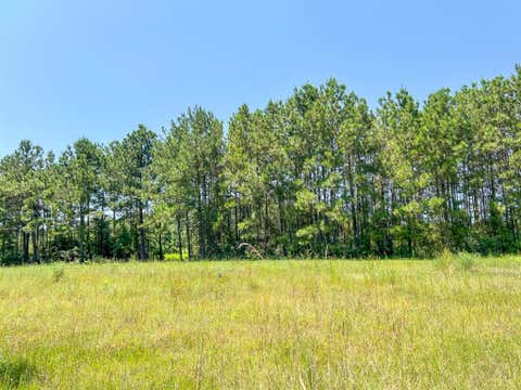 Vacant Land For Sale - 01234 Highway 146<br/> Polk County, Ace, TX 77351