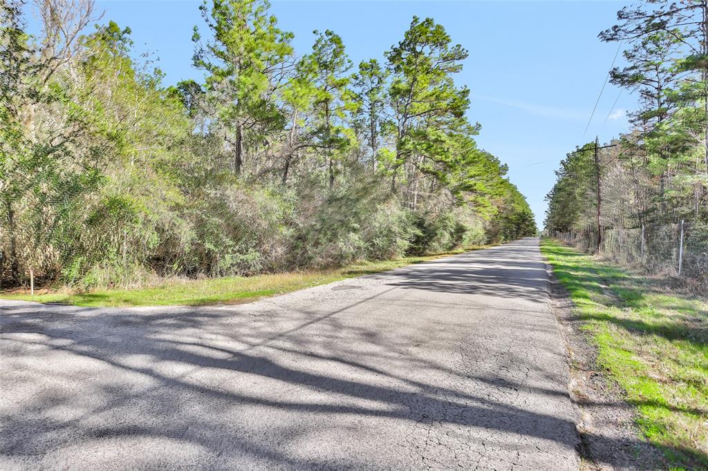 County Road 302, Plantersville, Texas image 2