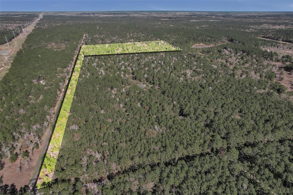 County Road 302, Plantersville, Texas image 9