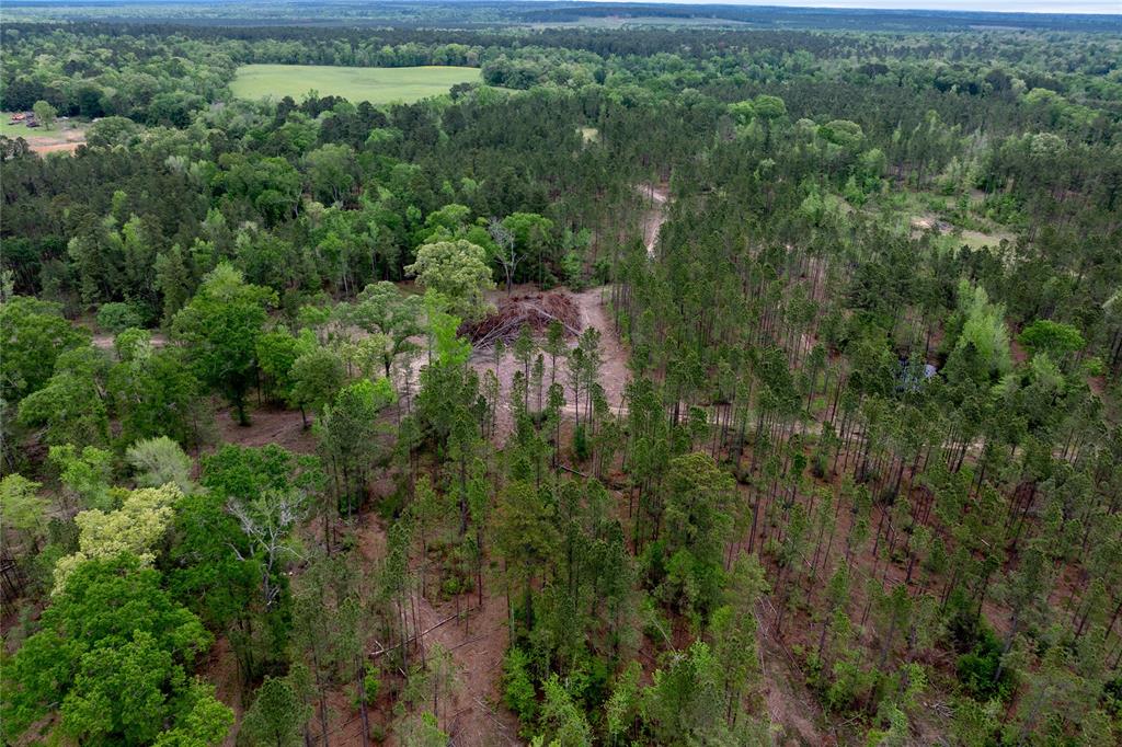 County Road 1170, Kennard, Texas image 19