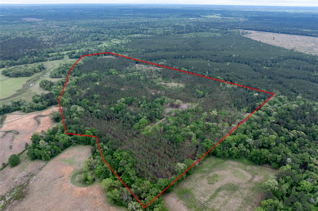 County Road 1170, Kennard, Texas image 7
