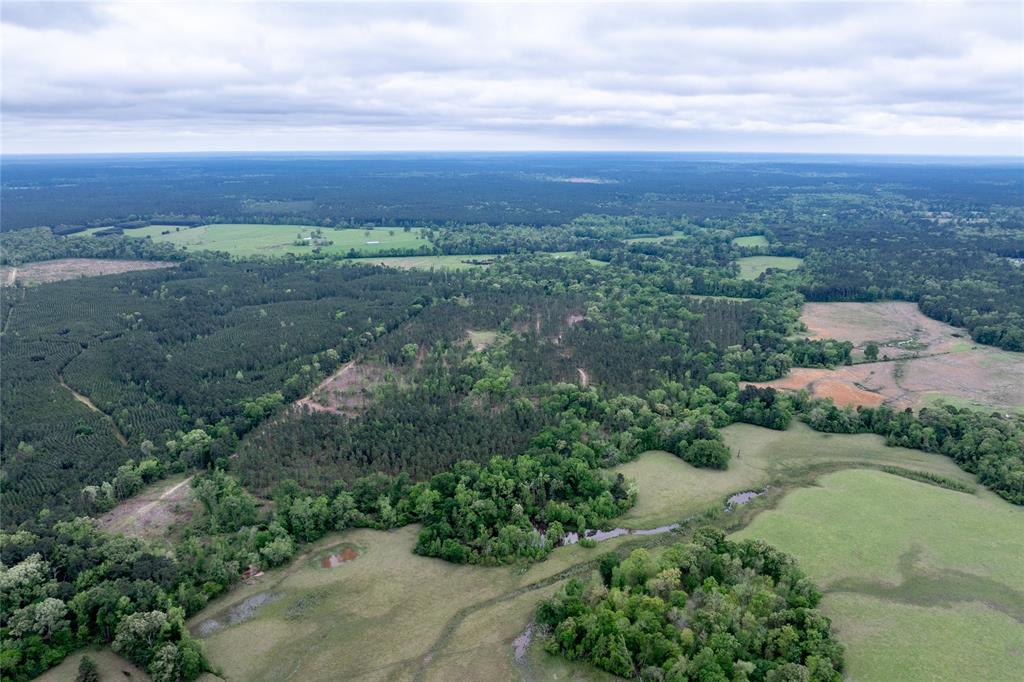 County Road 1170, Kennard, Texas image 13