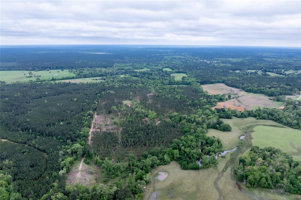 County Road 1170, Kennard, Texas image 15