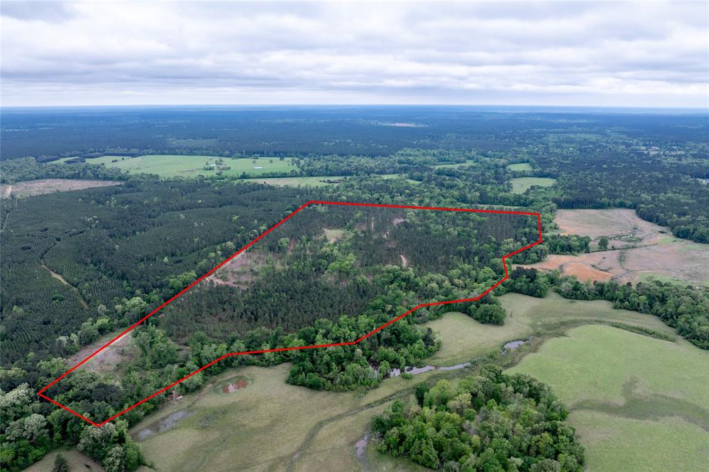County Road 1170, Kennard, Texas image 12