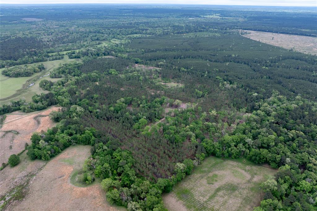 County Road 1170, Kennard, Texas image 8
