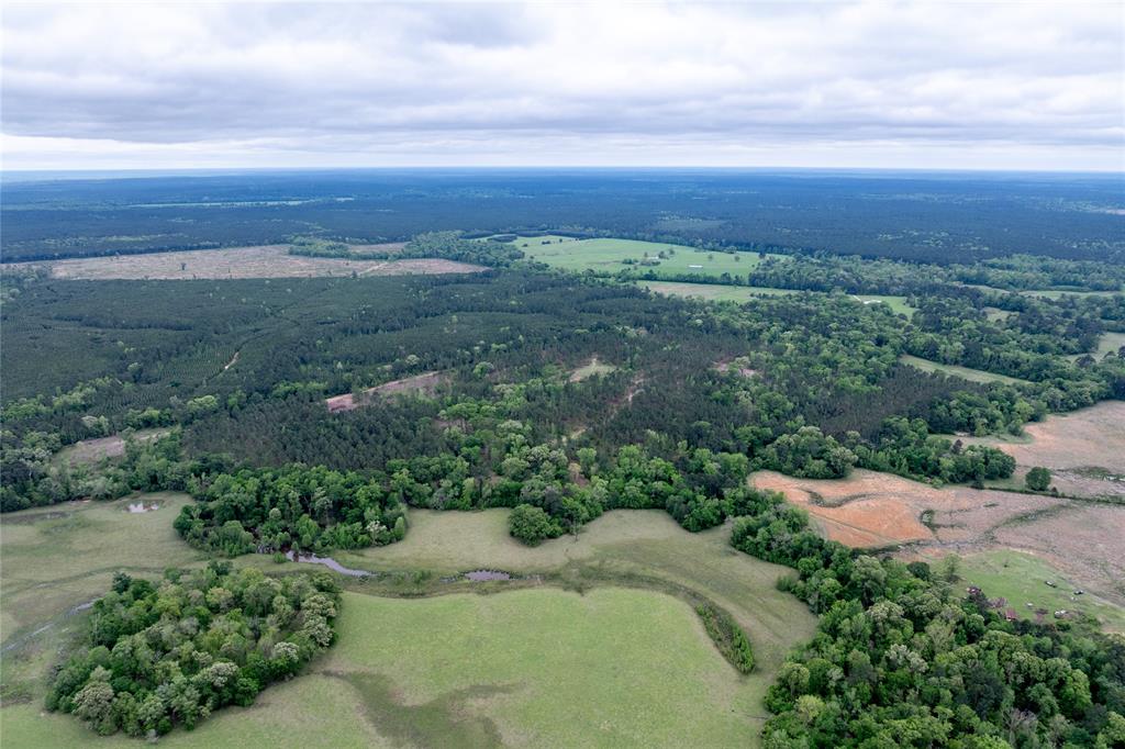 County Road 1170, Kennard, Texas image 11