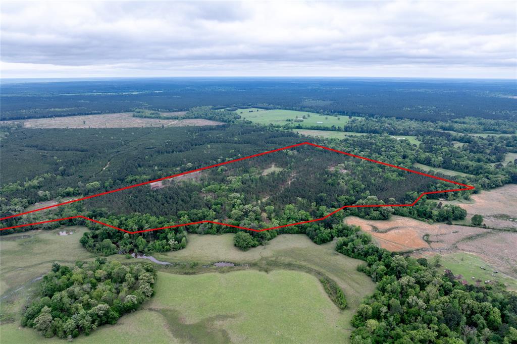 County Road 1170, Kennard, Texas image 10