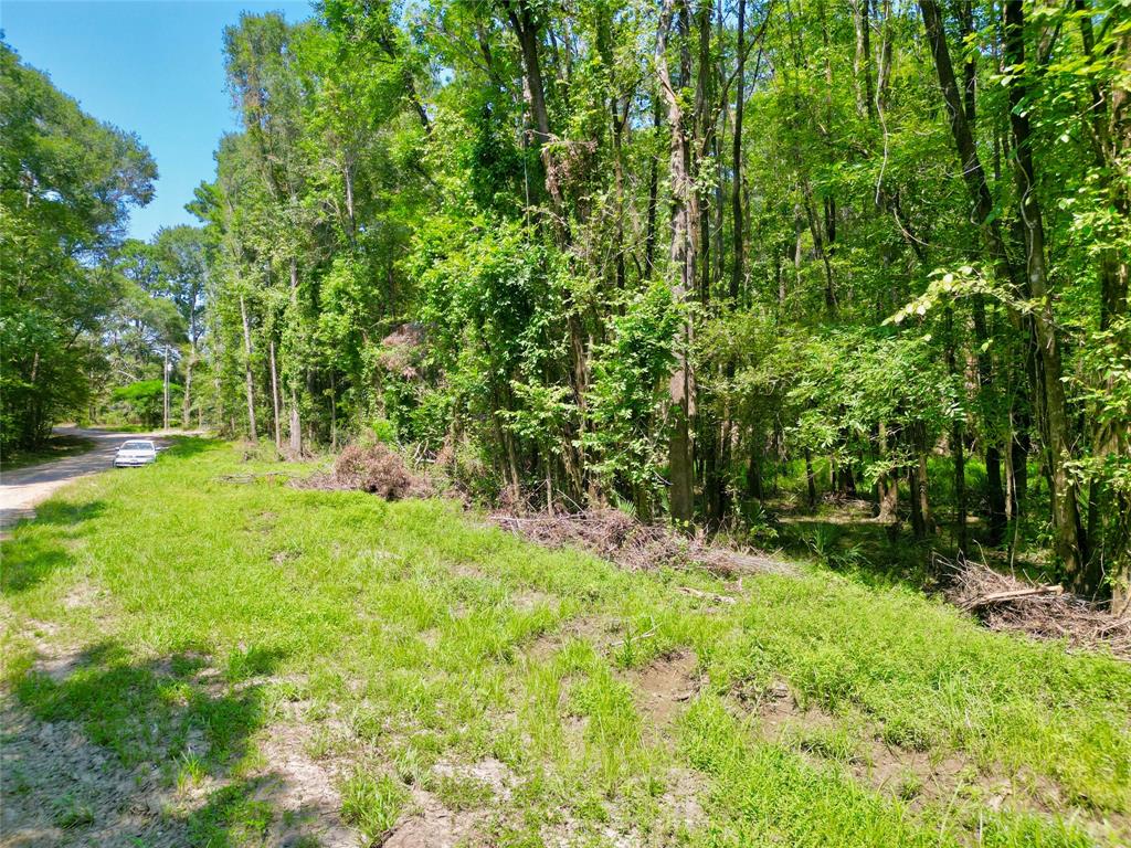 000 Royal Forest Drive, Conroe, Texas image 10