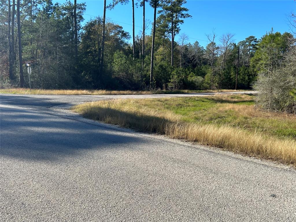 2-3-3- Dedication Grandview Trail, Huntsville, Texas image 3