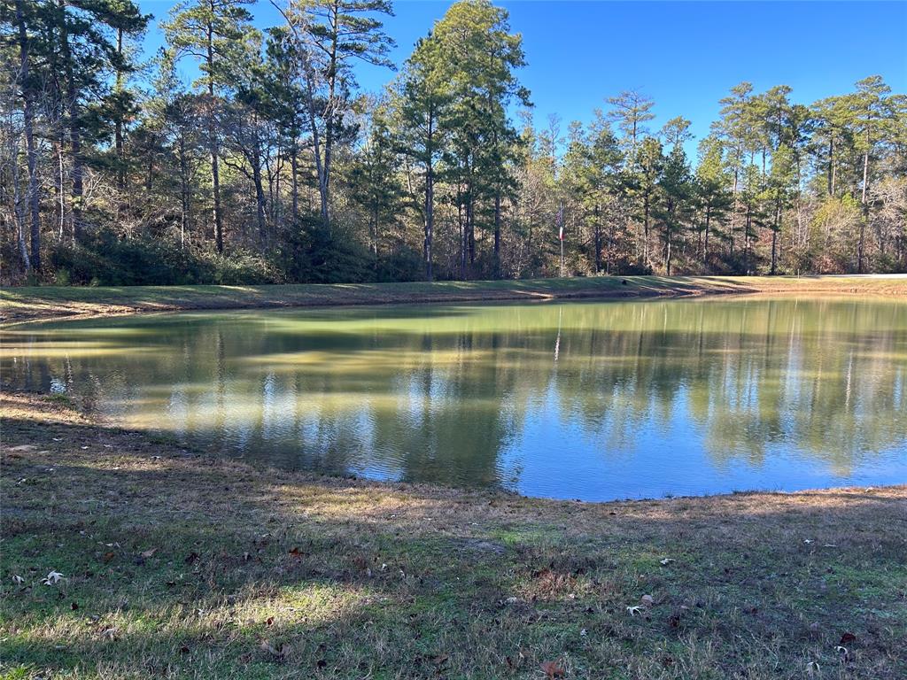 2-3-3- Dedication Grandview Trail, Huntsville, Texas image 12