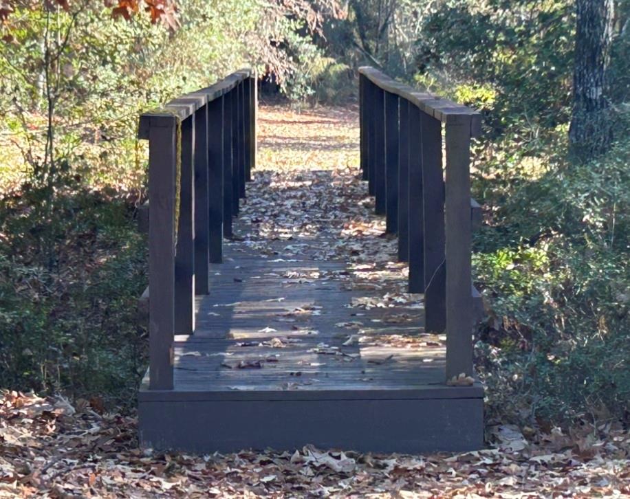 2-3-3- Dedication Grandview Trail, Huntsville, Texas image 8