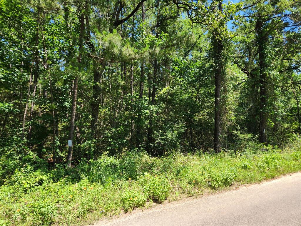 Lot 11 Cherry Tree Lane, Plantersville, Texas image 25