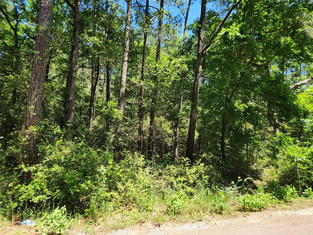 Lot 11 Cherry Tree Lane, Plantersville, Texas image 21