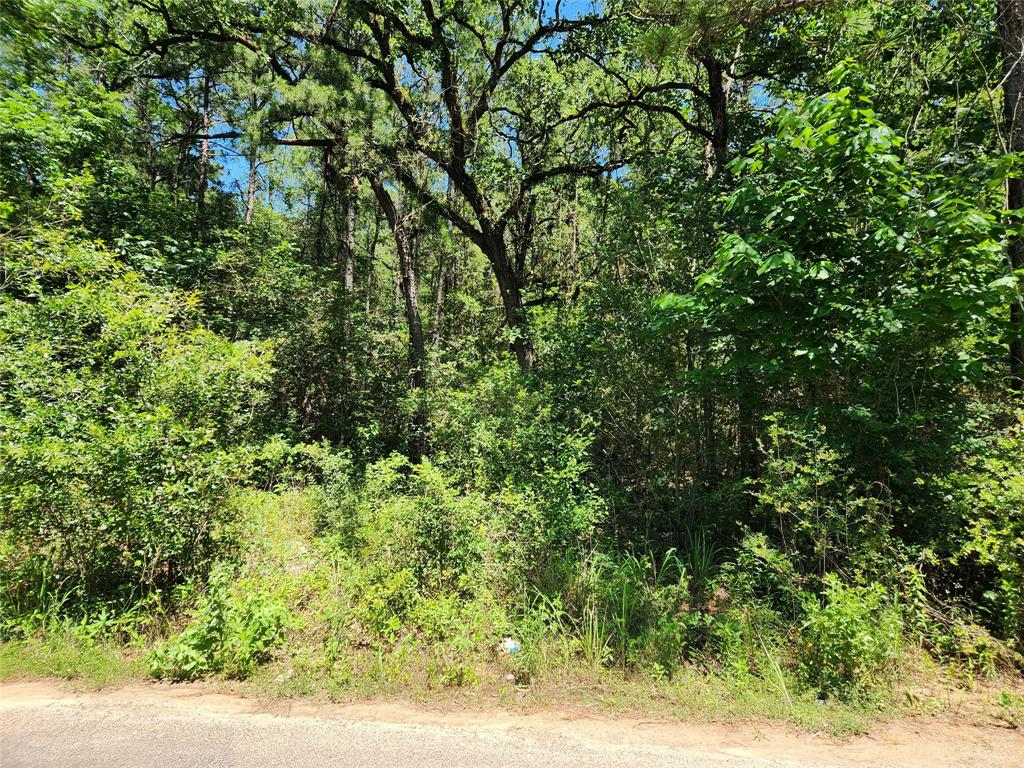 Lot 11 Cherry Tree Lane, Plantersville, Texas image 29