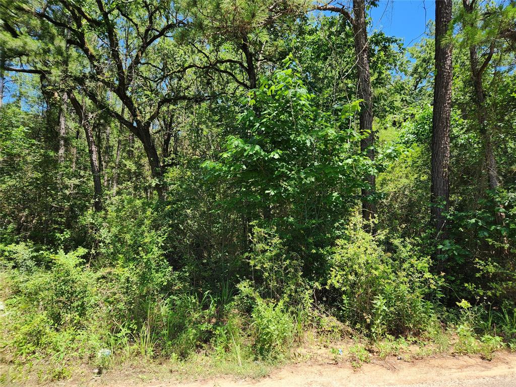 Lot 11 Cherry Tree Lane, Plantersville, Texas image 30