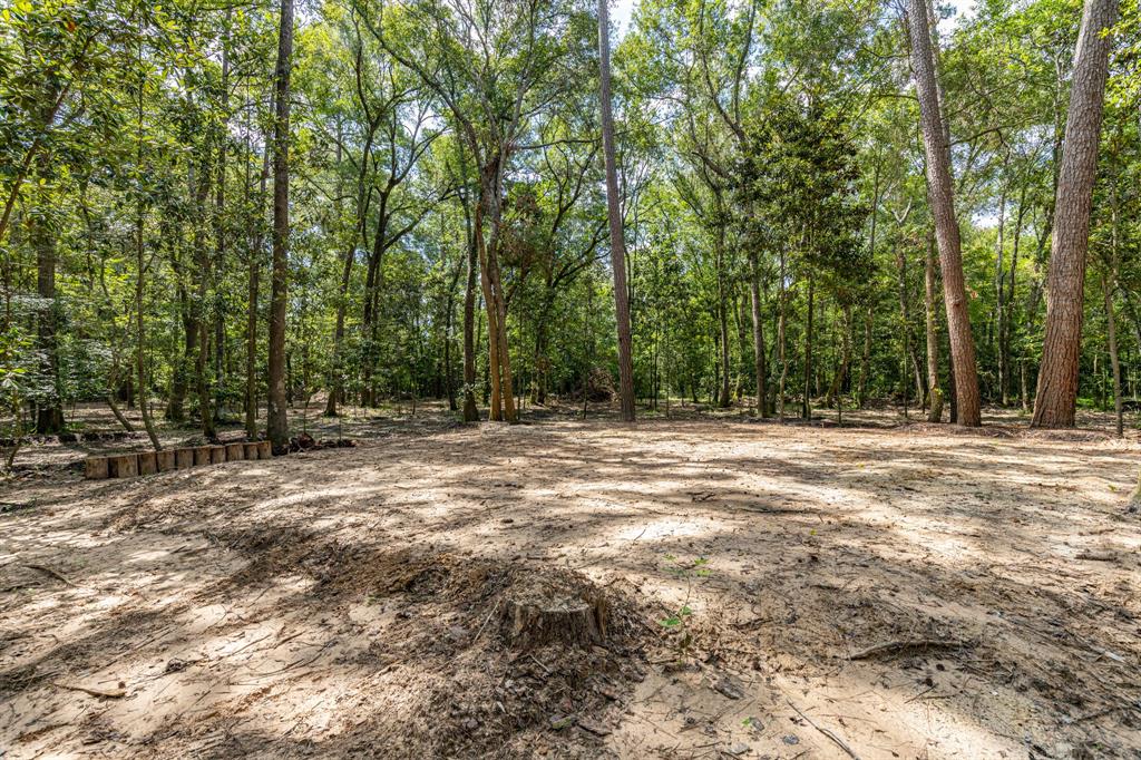 29515 W Irving Road, Huffman, Texas image 9