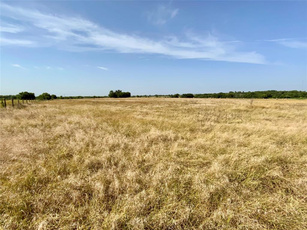 TBD Hwy 21, Dime Box, Texas image 14