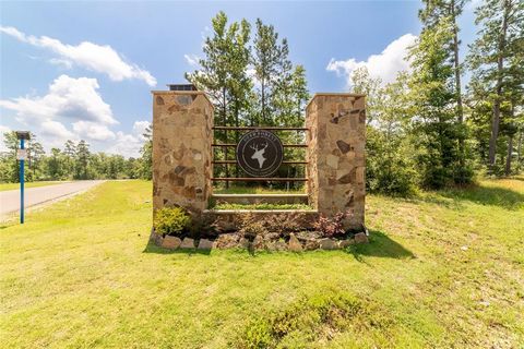 Photo of 157 Iron Horse Road, New Waverly, TX 77358 (MLS # 89448812)