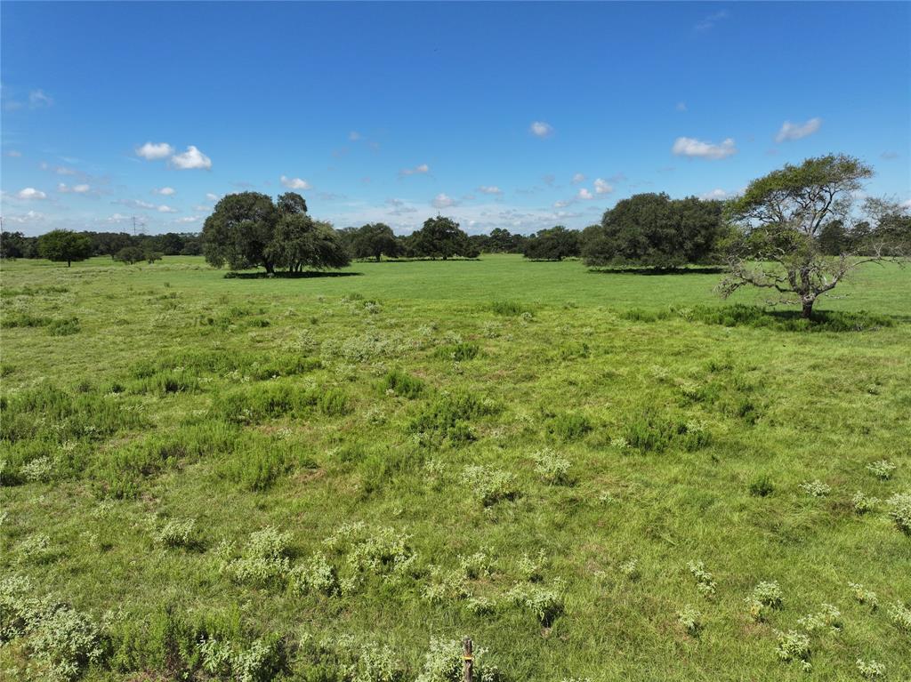 26039 Magnolia Lot 2 Road, Hockley, Texas image 10