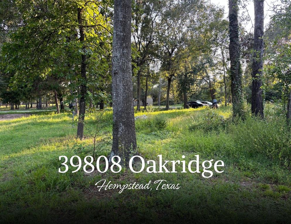 39808 Oakridge Road - Road, Hempstead, Texas image 33