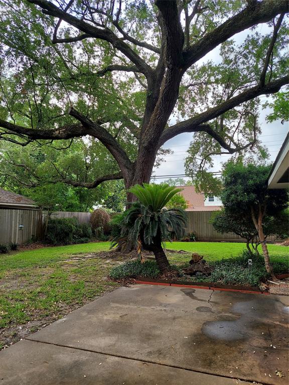 8119 Bellaire Boulevard, Houston, Texas image 23