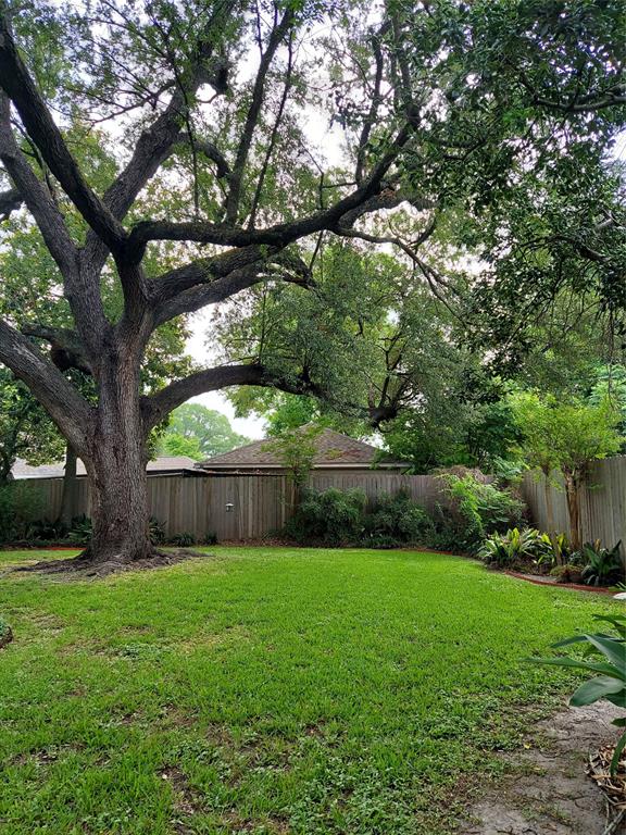 8119 Bellaire Boulevard, Houston, Texas image 22