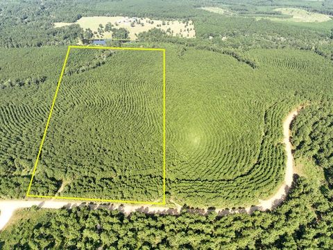 Vacant Land For Sale - 000 Shady Grove Rd<br/> Woodville, TX 75979