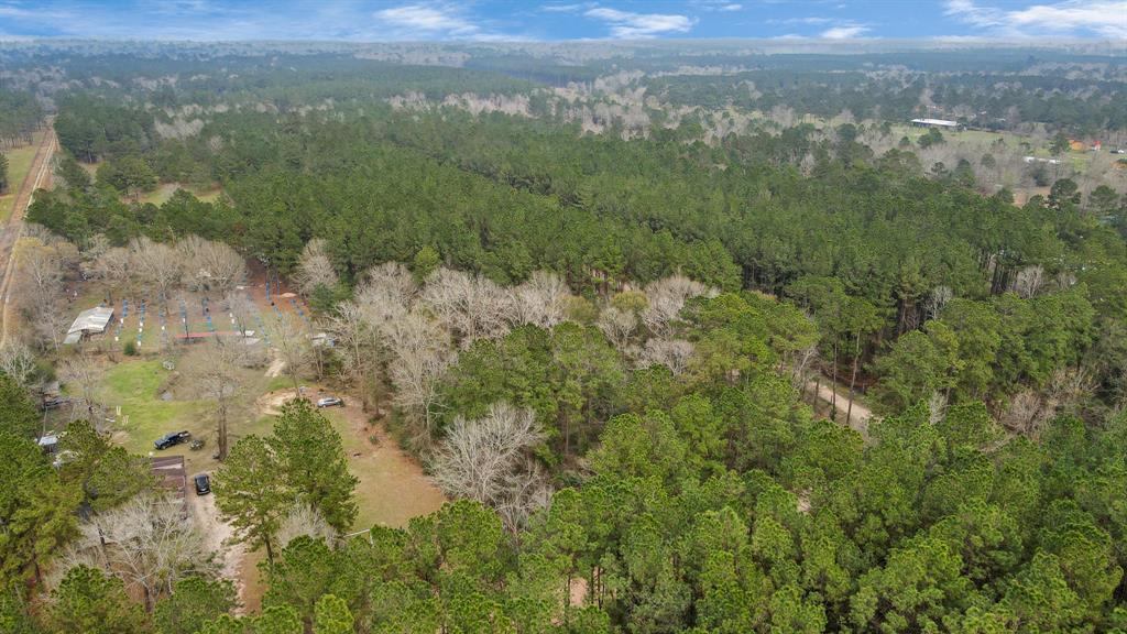 12+ Acres County Line Road, Shepherd, Texas image 17