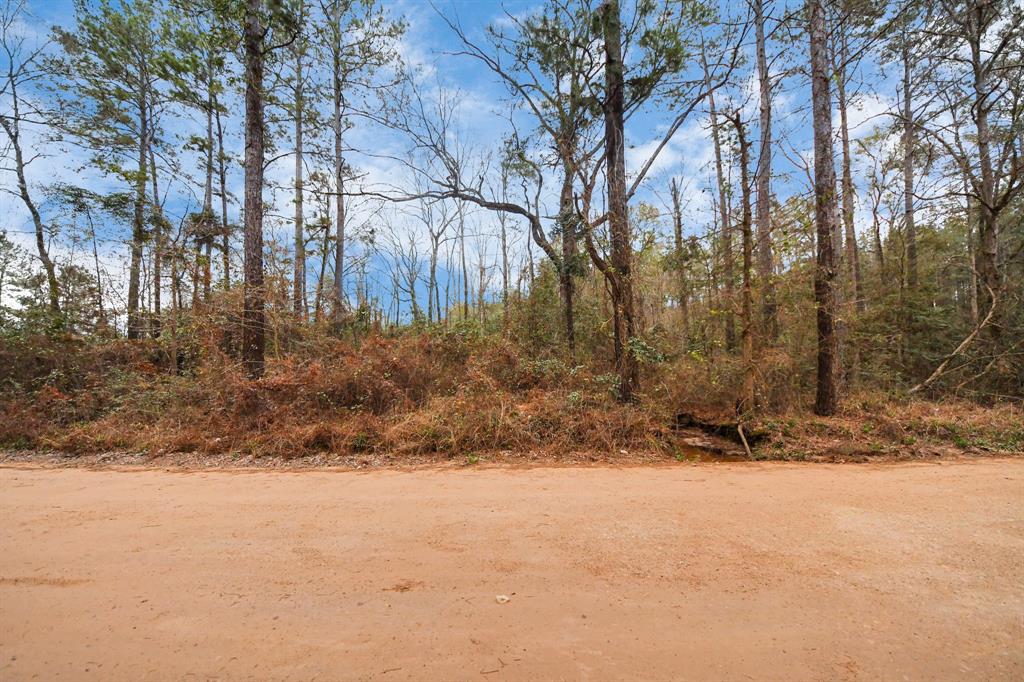 12+ Acres County Line Road, Shepherd, Texas image 3