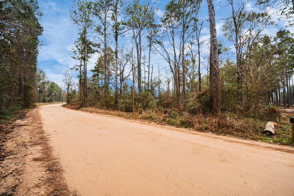 12+ Acres County Line Road, Shepherd, Texas image 1