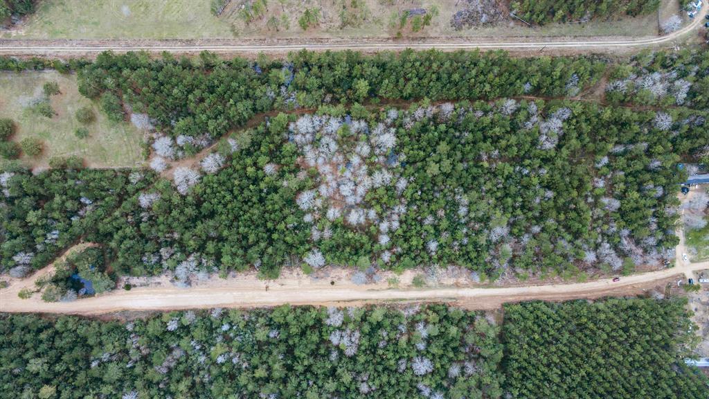 12+ Acres County Line Road, Shepherd, Texas image 4