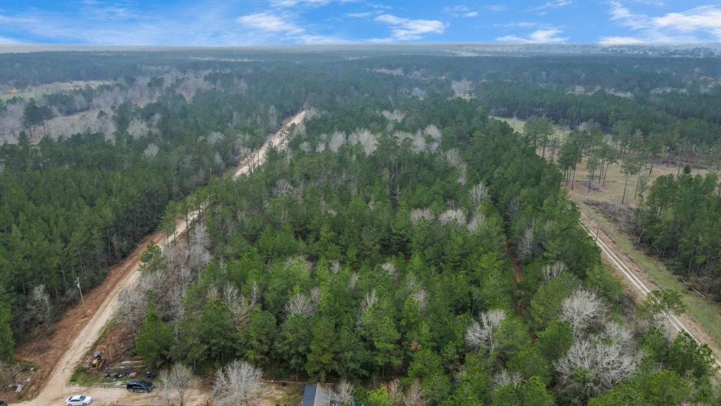 12+ Acres County Line Road, Shepherd, Texas image 15