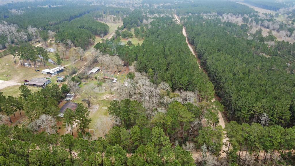 12+ Acres County Line Road, Shepherd, Texas image 21