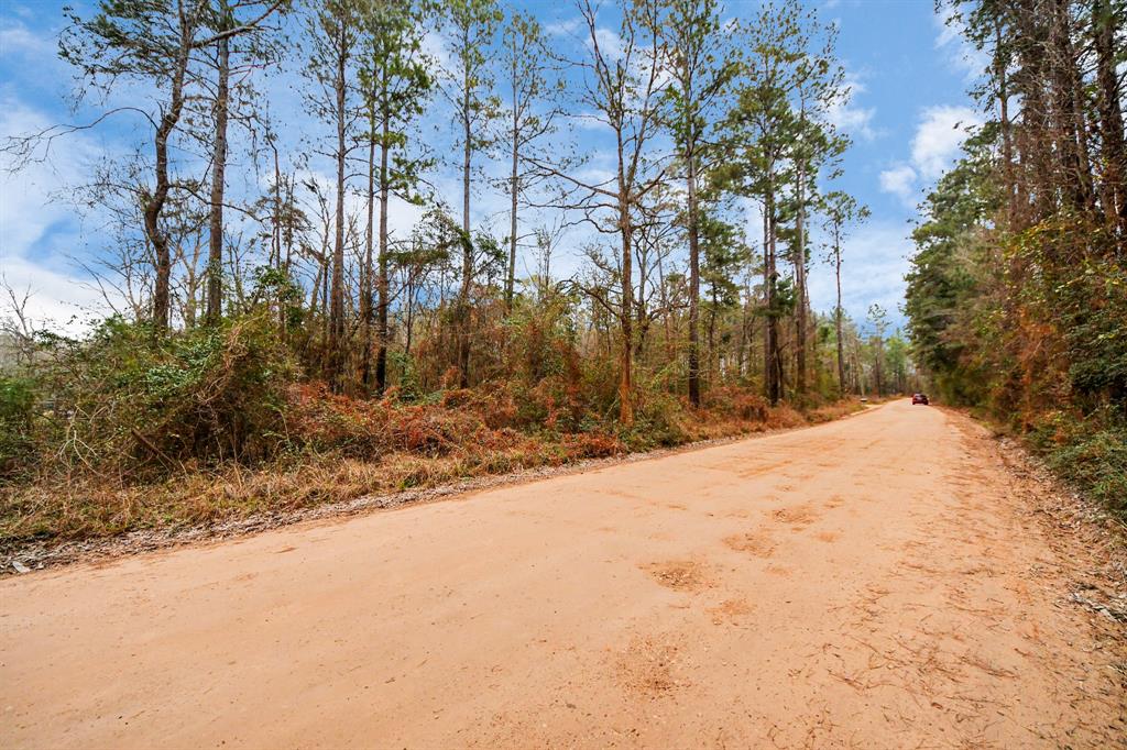 12+ Acres County Line Road, Shepherd, Texas image 2