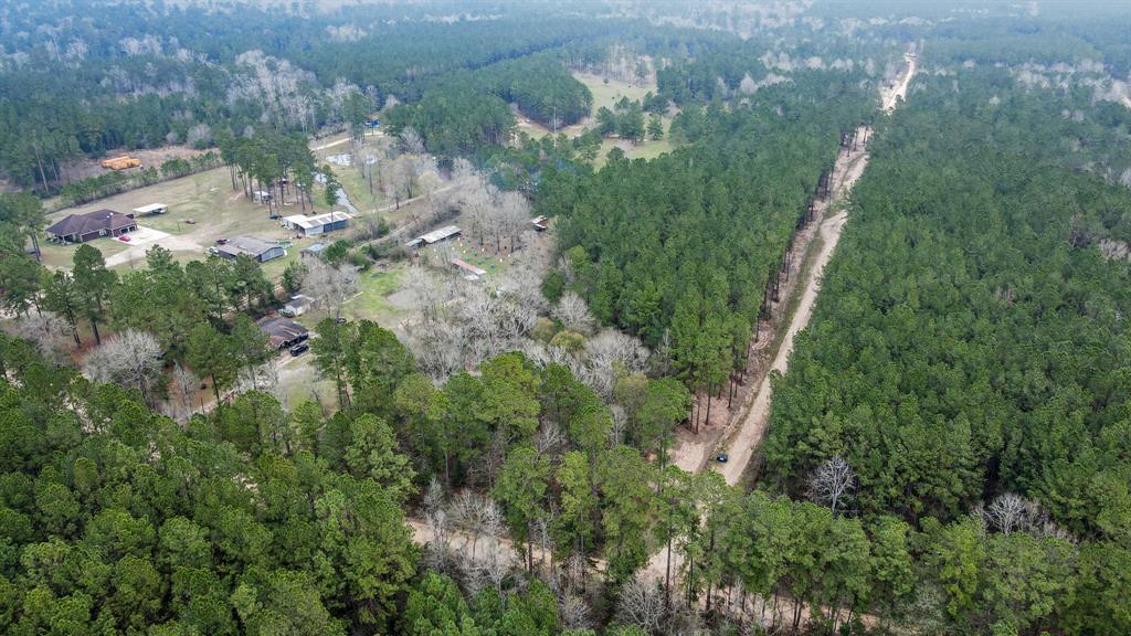 12+ Acres County Line Road, Shepherd, Texas image 23