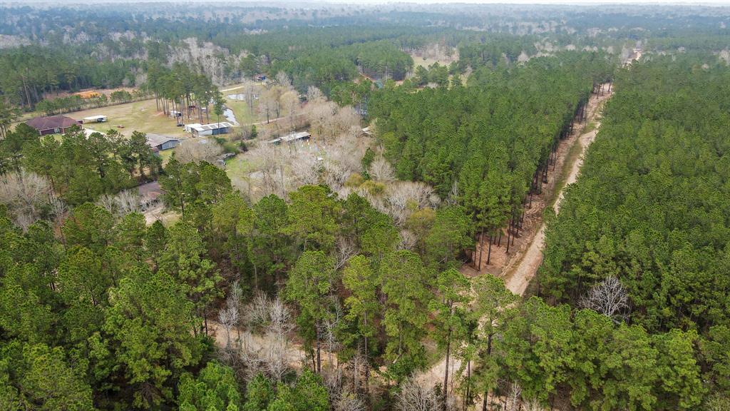 12+ Acres County Line Road, Shepherd, Texas image 19