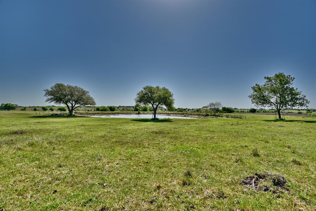 TBD (34.7 Acres) County Road 532d, Hallettsville, Texas image 5