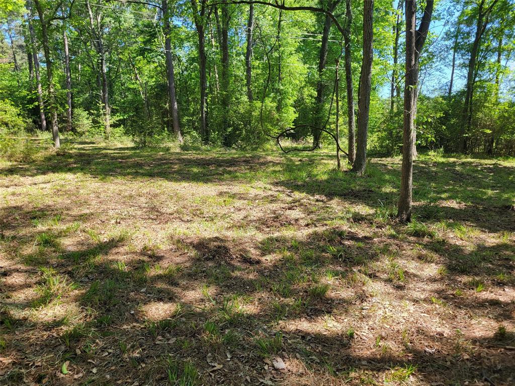 500 S Pine Lake Road, Montgomery, Texas image 35